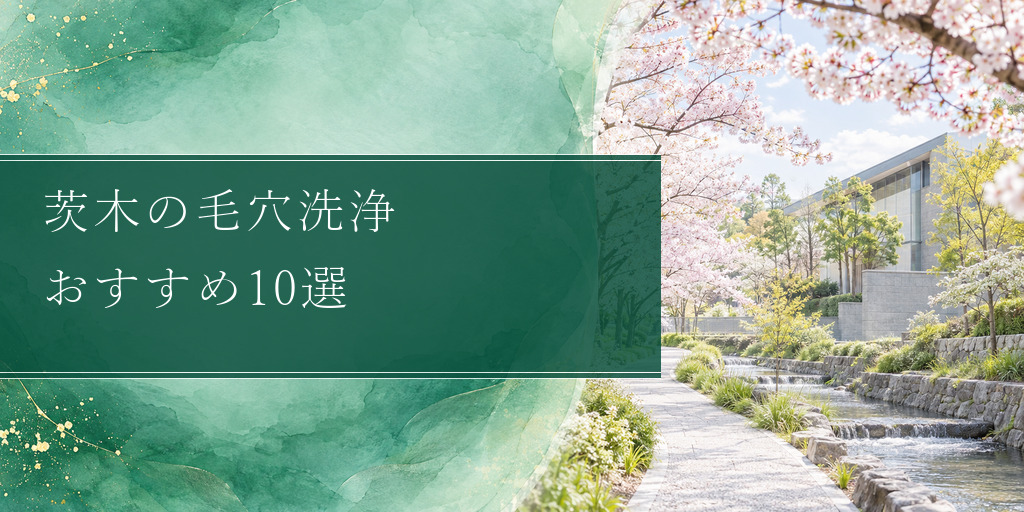 茨木の毛穴洗浄 おすすめ10選