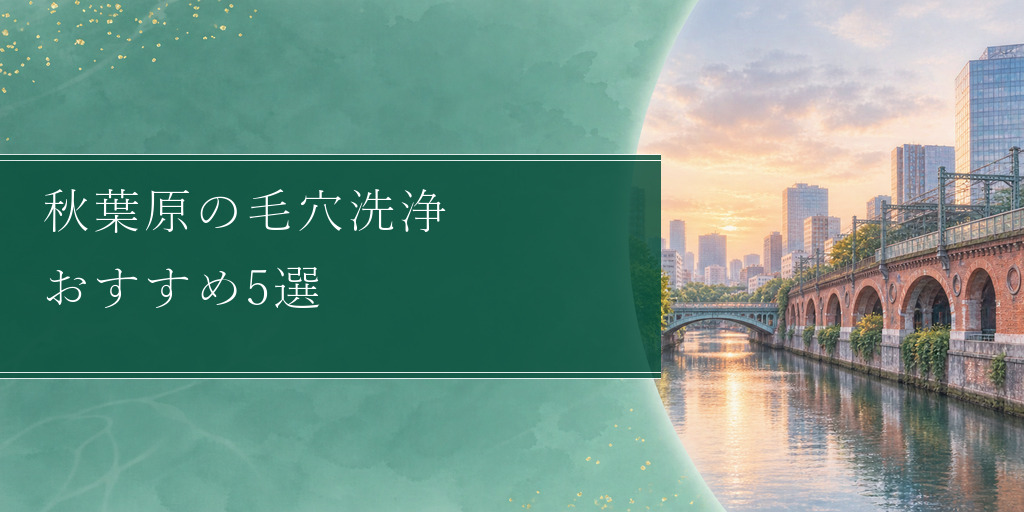 秋葉原の毛穴洗浄 おすすめ5選