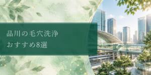 shinagawa-pore-cleansingの比較記事アイキャッチ